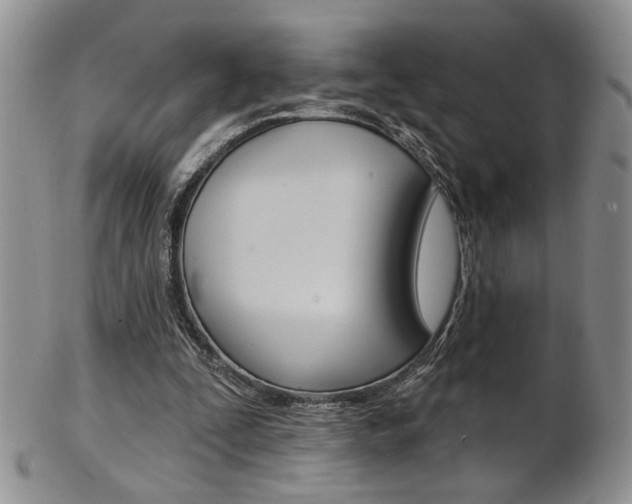 X0000103170295200808221134