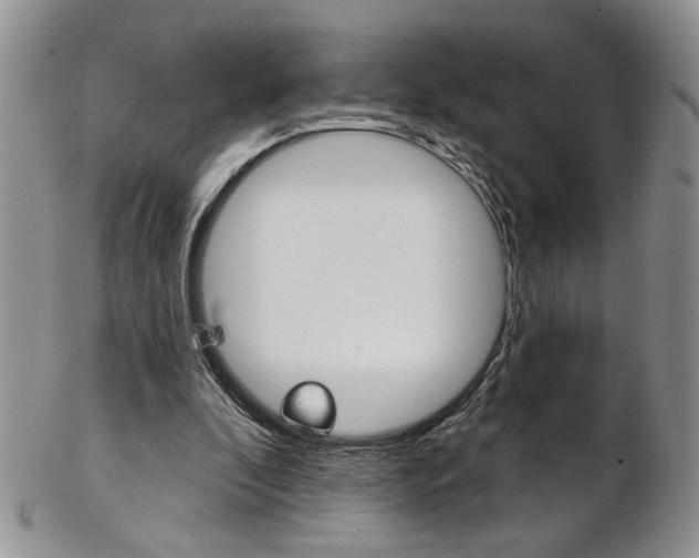 X0000103170296200808221134