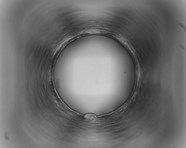 X0000103170297200808221134