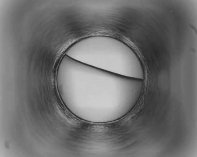 X0000103170298200808221134