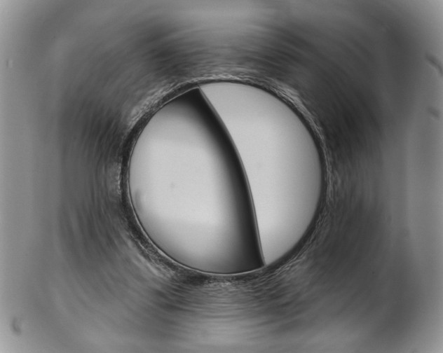 X0000103170299200808221134
