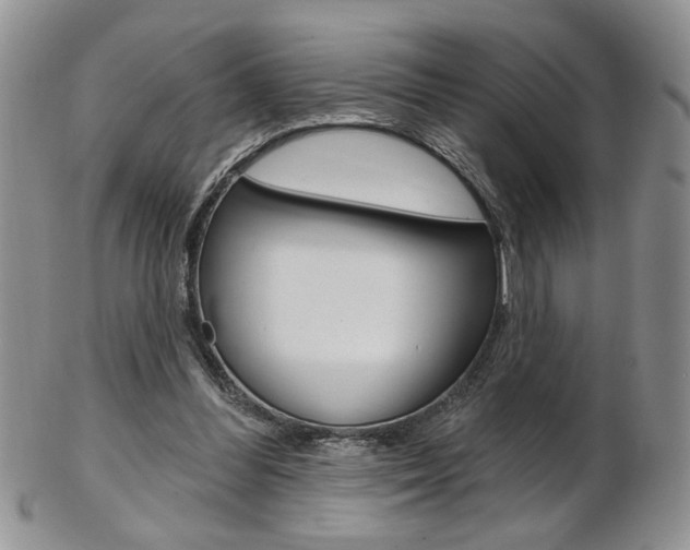 X0000103170300200808221134