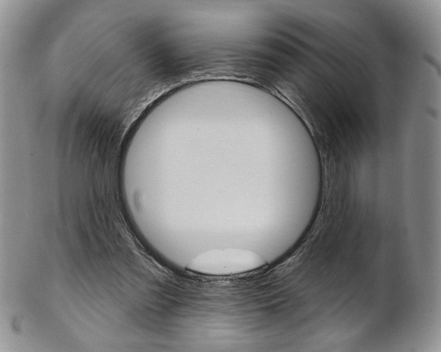 X0000103170301200808221134