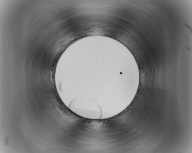 X0000103170302200808221134