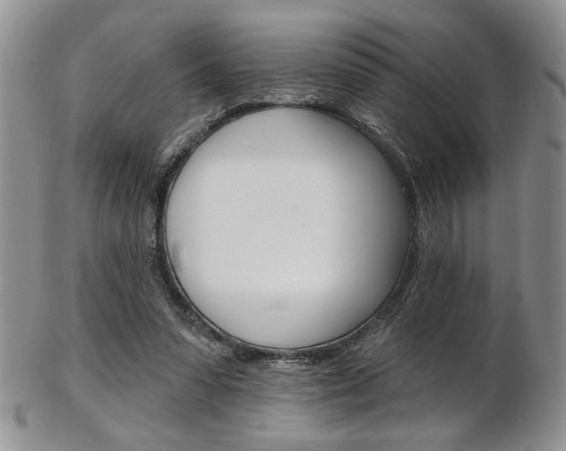 X0000103170303200808221134