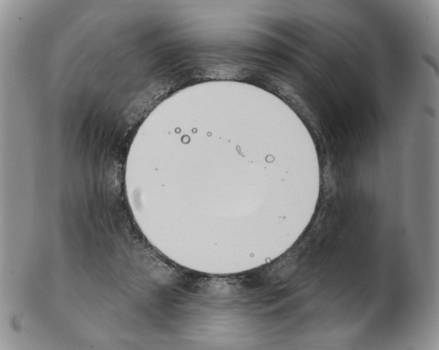 X0000103170305200808221134