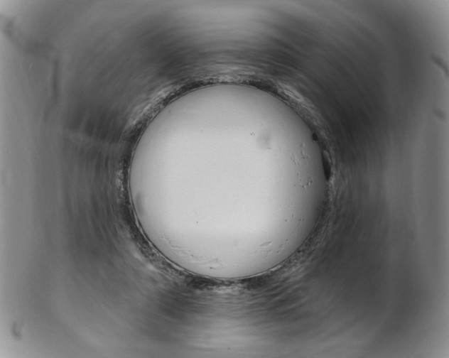 X0000103170306200808221134