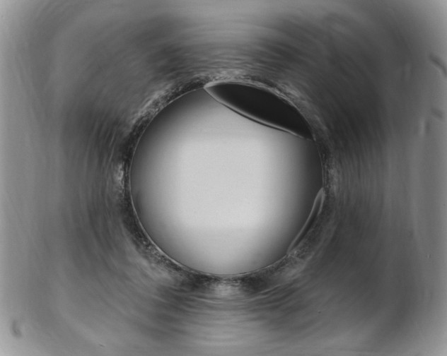 X0000103170308200808221134