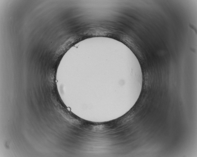X0000103170309200808221134