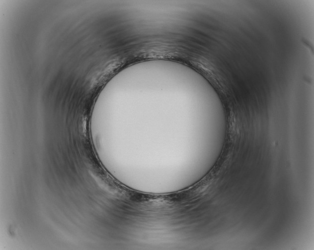 X0000103170310200808221134