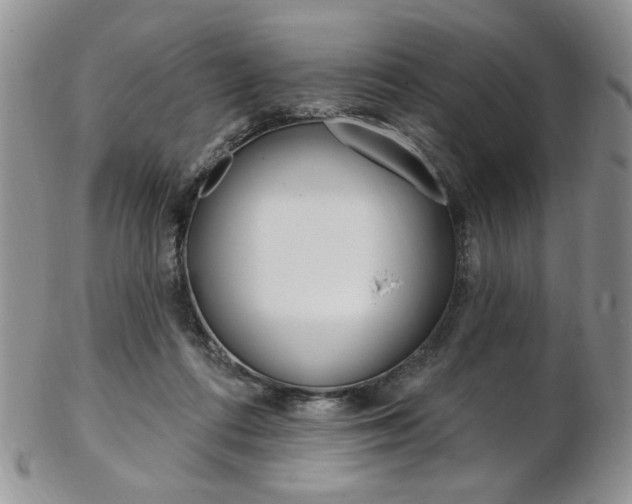 X0000103170312200808221134