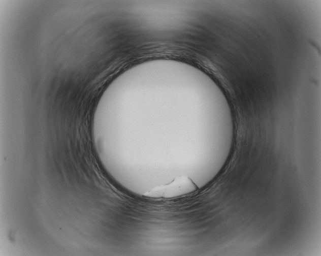 X0000103170313200808221134