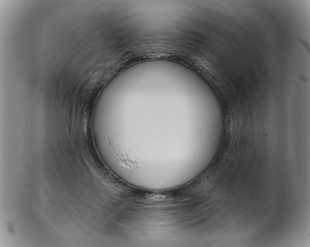 X0000103170315200808221134