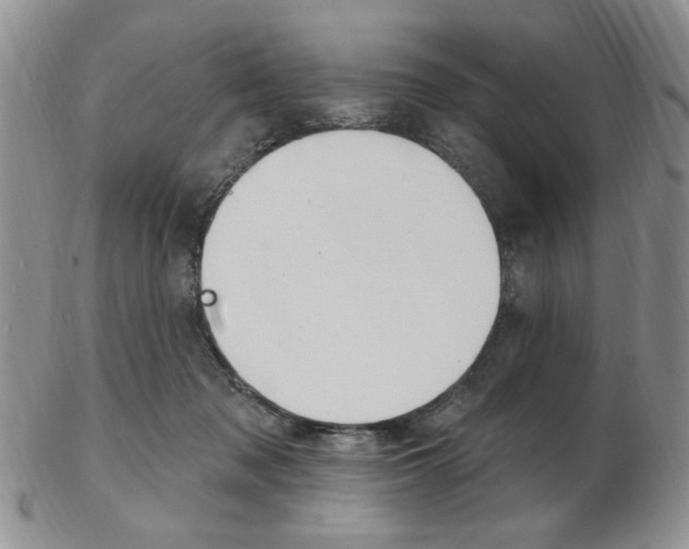 X0000103170317200808221134