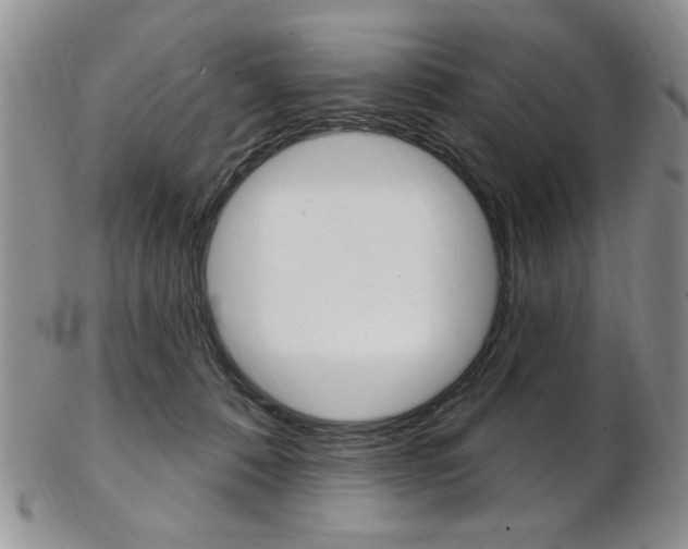 X0000103170320200808221134