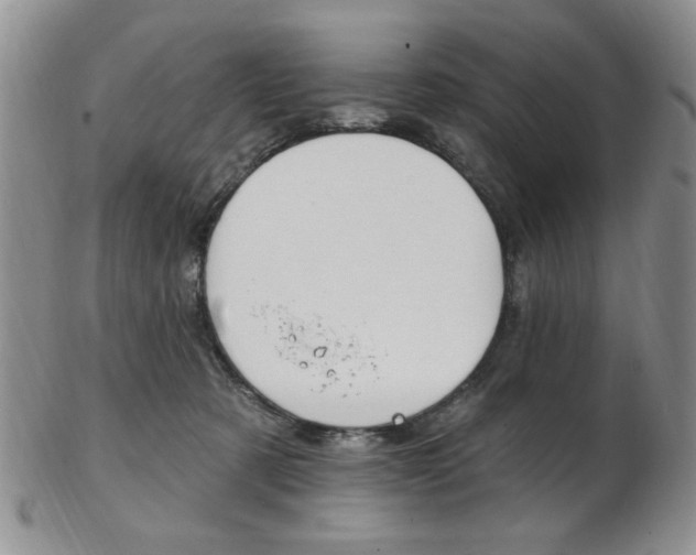 X0000103170321200808221134