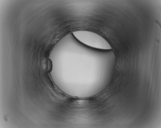 X0000103170323200808221134