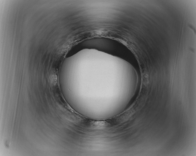 X0000103170324200808221134