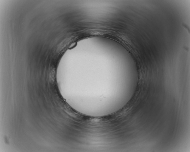 X0000103170325200808221134