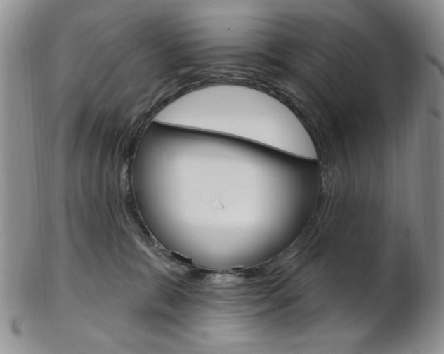 X0000103170327200808221134