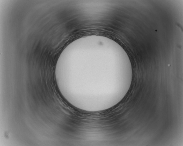 X0000103170328200808221134