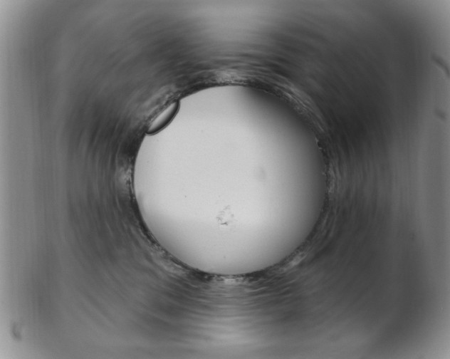 X0000103170329200808221134