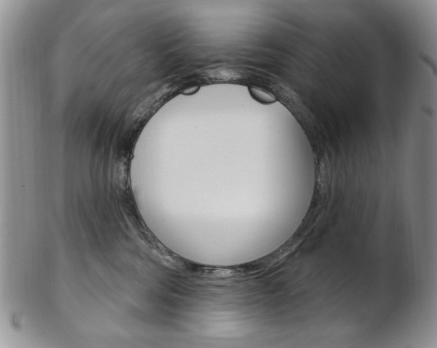 X0000103170330200808221134