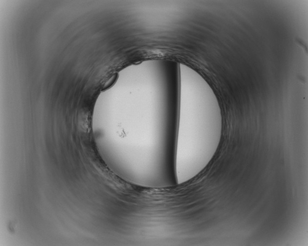 X0000103170331200808221134