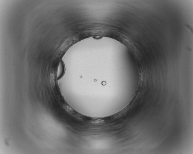 X0000103170333200808221134