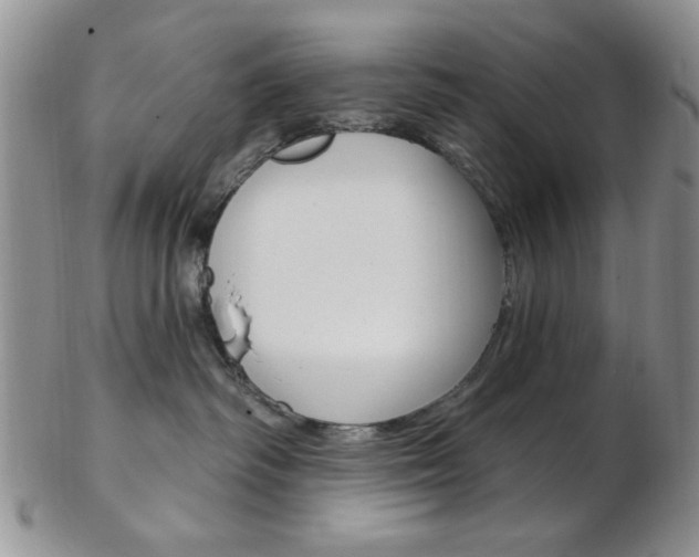 X0000103170334200808221134