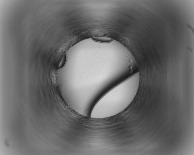X0000103170335200808221134