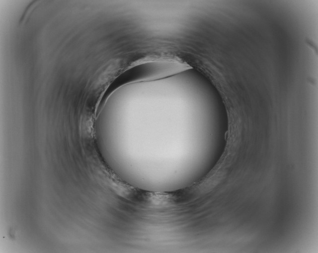 X0000103170336200808221134
