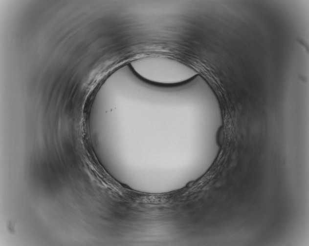 X0000103170338200808221133