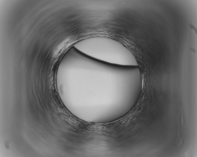 X0000103170339200808221133