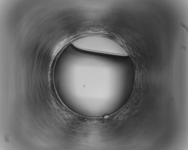 X0000103170340200808221133
