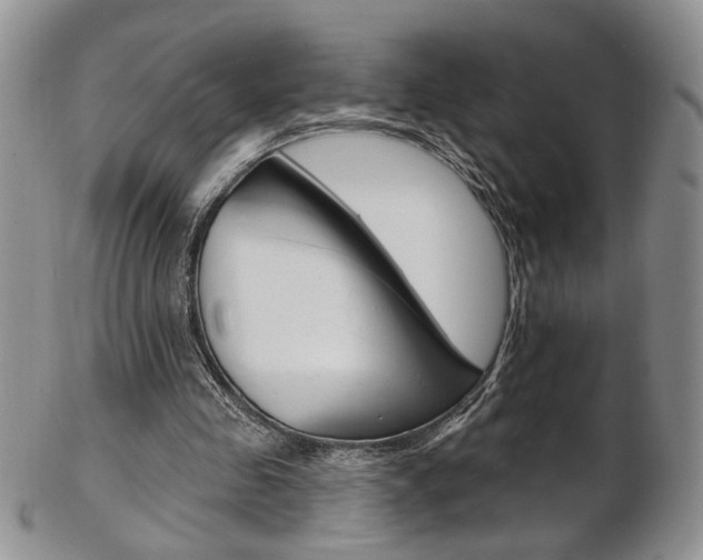 X0000103170341200808221133