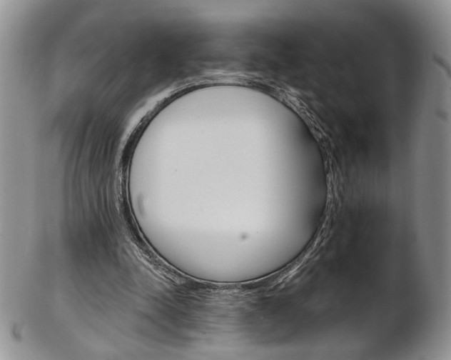 X0000103170342200808221133