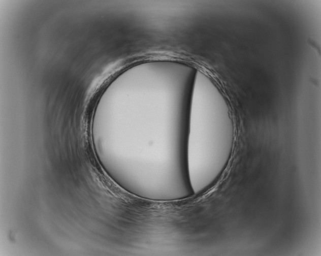X0000103170343200808221133