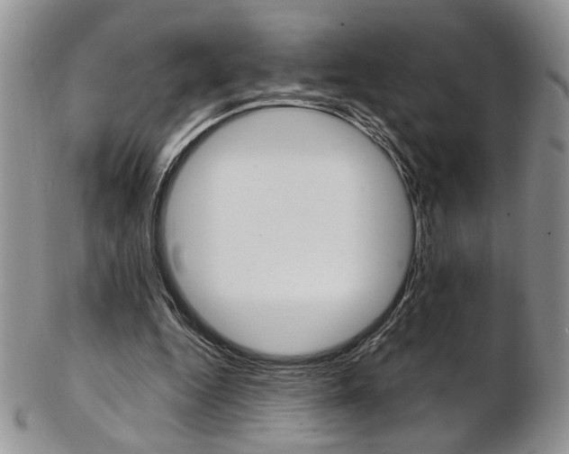 X0000103170344200808221133