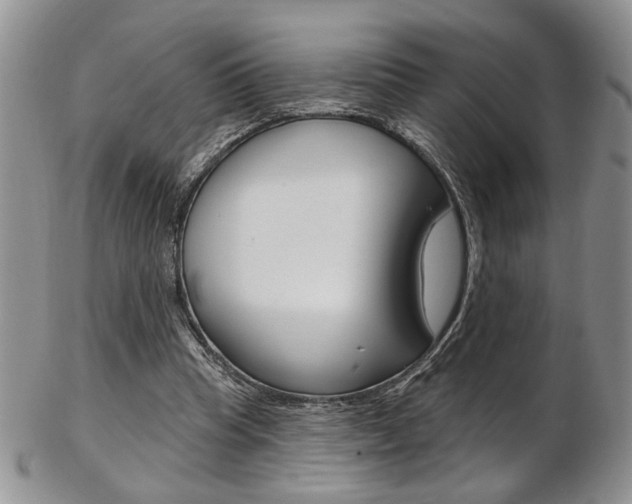 X0000103170345200808221133