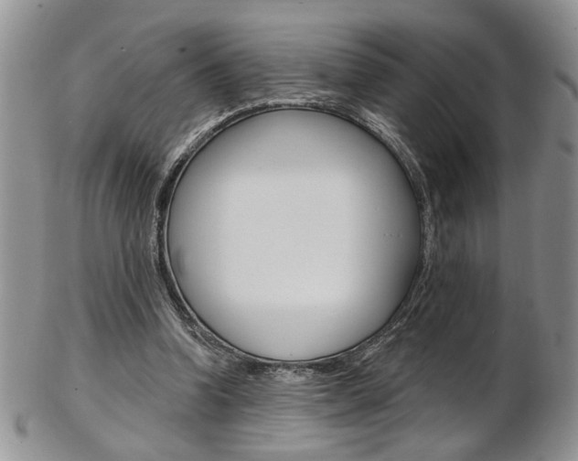 X0000103170346200808221133