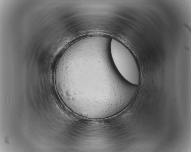 X0000103170347200808221133