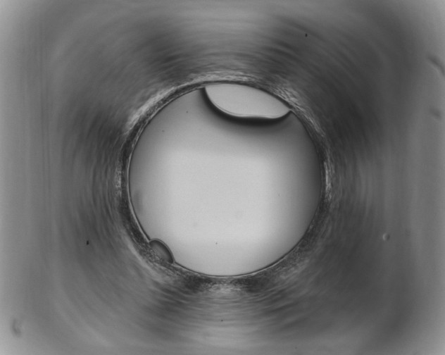 X0000103170348200808221133