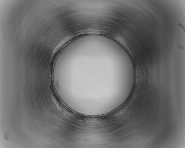 X0000103170349200808221133
