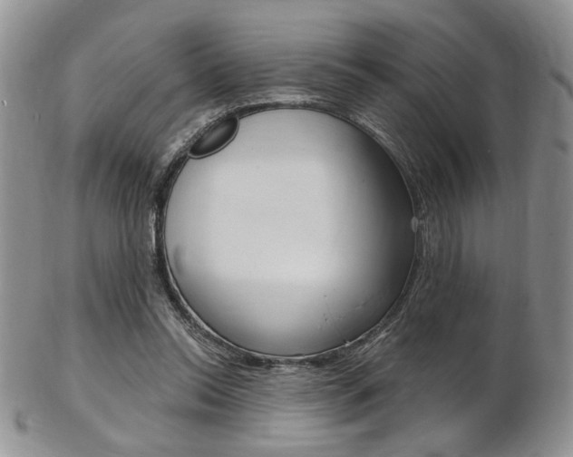 X0000103170350200808221133