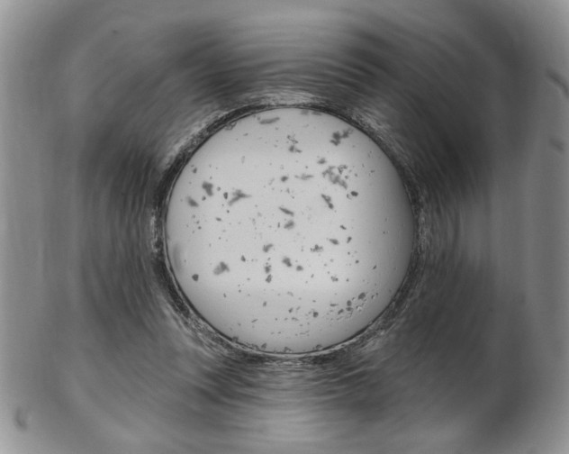 X0000103170351200808221133