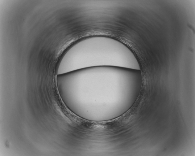 X0000103170352200808221133