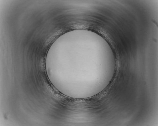 X0000103170353200808221133
