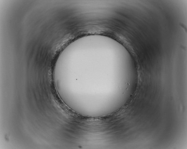 X0000103170354200808221133