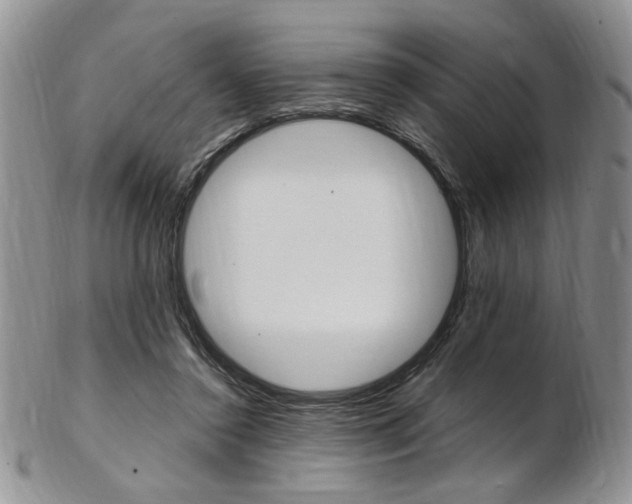 X0000103170356200808221133
